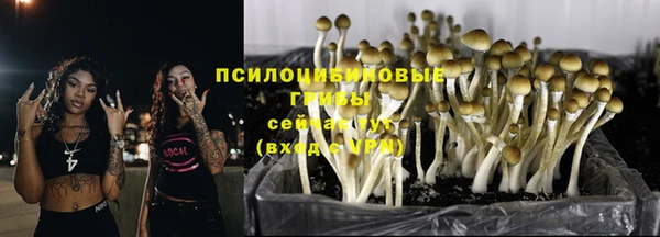 трава Алзамай