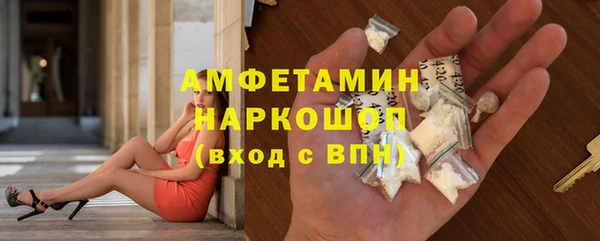 стаф Алексин