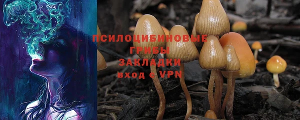 стаф Алексин