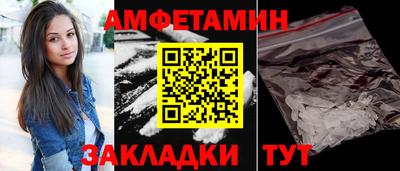шишки Кандалакша