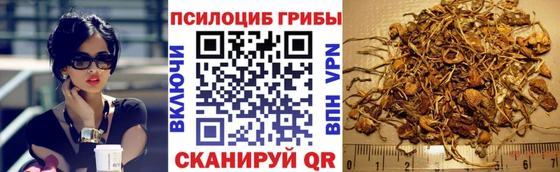 Псилоцибиновые грибы Psilocybine cubensis  Каменск-Шахтинский 